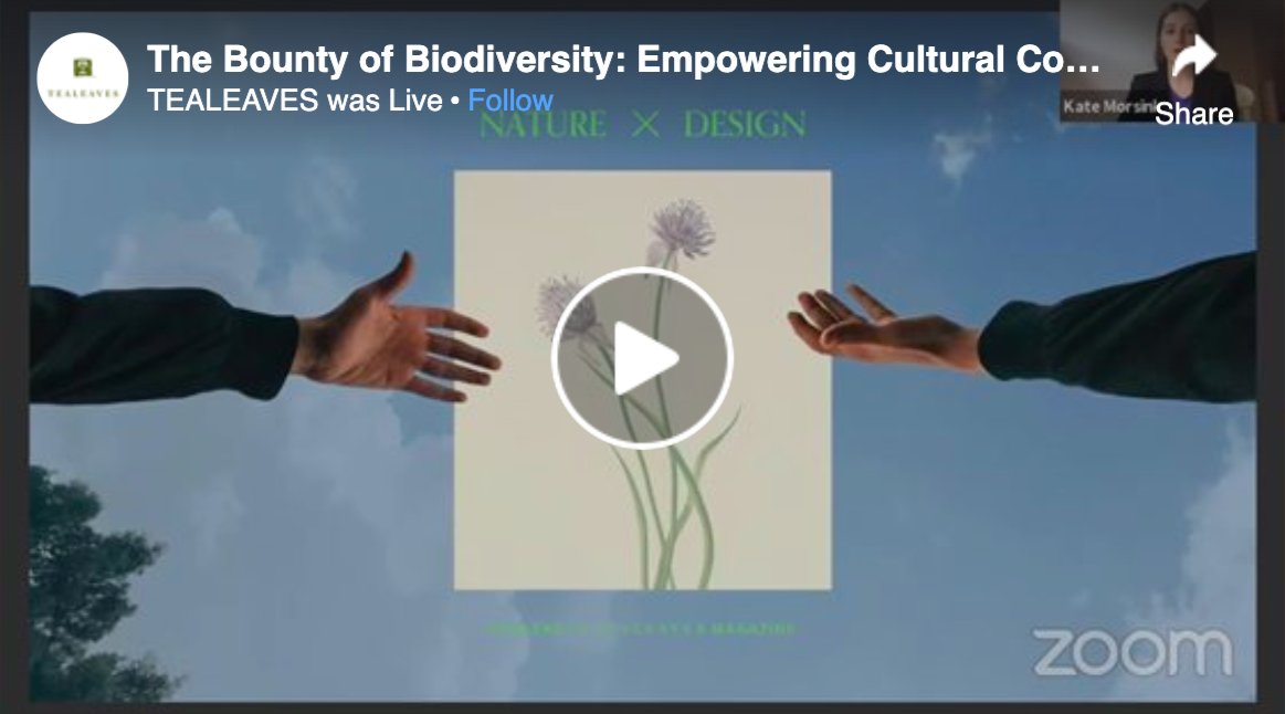 UBCgarden's tweet photo. If you missed the livestream with @TealeavesCo, @OSfood and @the_sioux_chef on the benefits of #foraging, you can view it here: https://t.co/6woj6bU9ke
#resilienceinbloom #ourgardensyourhome #virtuallyvancouver #gardens #biodiversity #wildandferalfoodweek https://t.co/CnQsujzh0a