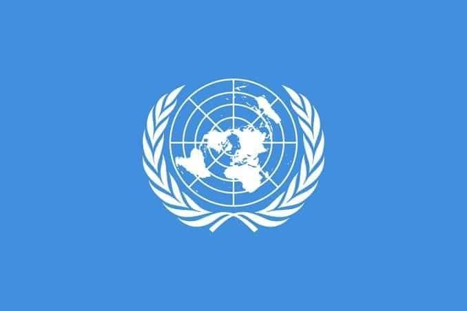 JesusitoG_'s tweet photo. #Anonymuos acaba de subir a su cuenta archivos sobre la ONU donde se muestra que ellos ocultan la cura del C0VID-19

Se muestra que ellos ya tienen una vacuna efectiva la vacuna se hizo a los 2 días y está hecha a partir de células de cola de rana y si no sana hoy.. sanará mañana https://t.co/F3ufGpdMkp