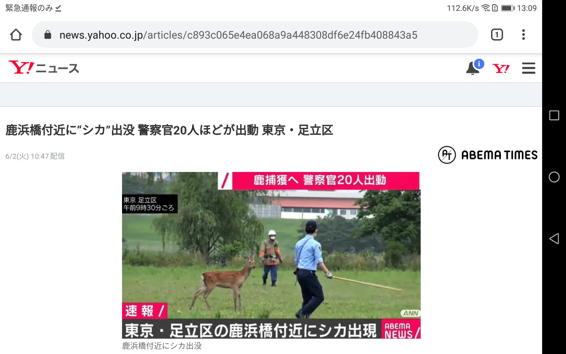 箕輪 裕也 ミノワッチ店主 セラピスト アメリカではデモ 荒川ではシカ アメリカでは警察官が黒人男性を殺し 荒川では警察官がシカを追うのである トランプは国民に自国の軍を差し向けるという シカを追う国に生まれて良かったのだ アメリカ暴動