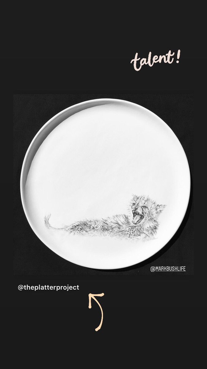 The Platter Project tweet media
