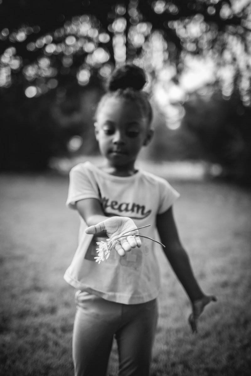 Auckland for Kids tweet media