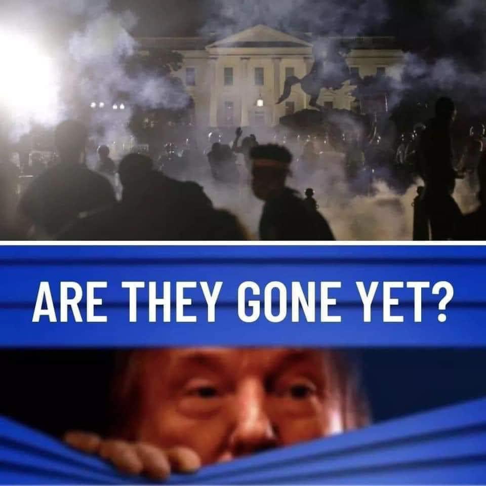 AuthorJoeNBrown's tweet photo. #AreTheyGoneYet?
#BunkerBoy thought we were laughing π at him, so #BunkerBoyTrump terrorized the peaceful #FloydProtesters with tear gas, pepper spray & rubber bullets~ then forcefully threatened them to leave so he could walkπΆββοΈto the βͺ to have a photo op w/ an #UpsideDownBible https://t.co/0pNWvvcBXk