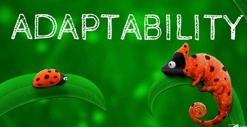 Library | Jumeirah College tweet media