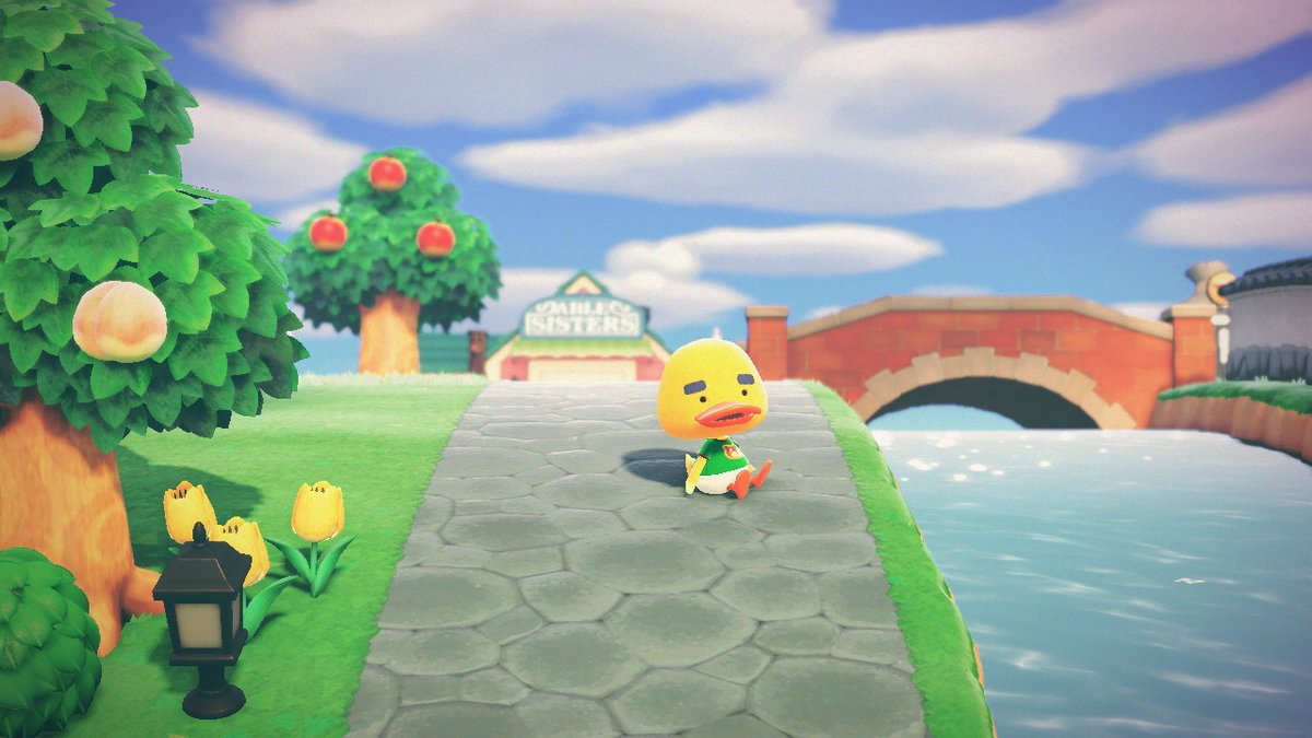 jovankaave's tweet photo. #AnimalCrossing #ACNH #NintendoSwitch https://t.co/Mxu3Og1XlB