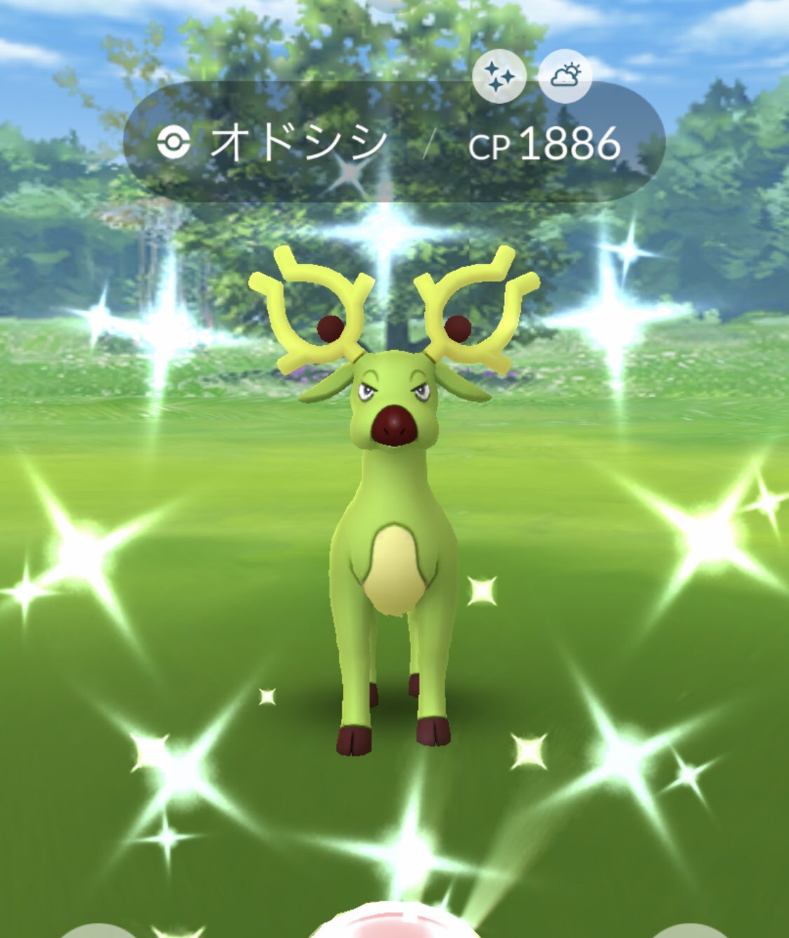 ふうちゃ ポケモンgo 昨日と今日でこんなにも オドシシ同化してる ポケモンgo 色違い オドシシ チルット キャモメ T Co Tawkilag9m Twitter
