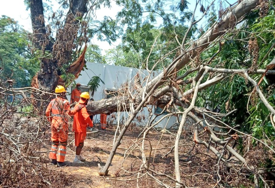 #CycloneAmphan Updates 02/6/20-

𝐃𝐀𝐘13-#PostAmphanRestoration

NDRF @ Restoration Work at Judges Court Road, Kolkata, West Bengal

#NDRF4U
#Committed2Serve 
@satyaprad1 @ndmaindia @PMOIndia @HMOIndia @PIBHomeAffairs @BhallaAjay26 @DDNewslive @ANI @airnewsalerts @PTI_News