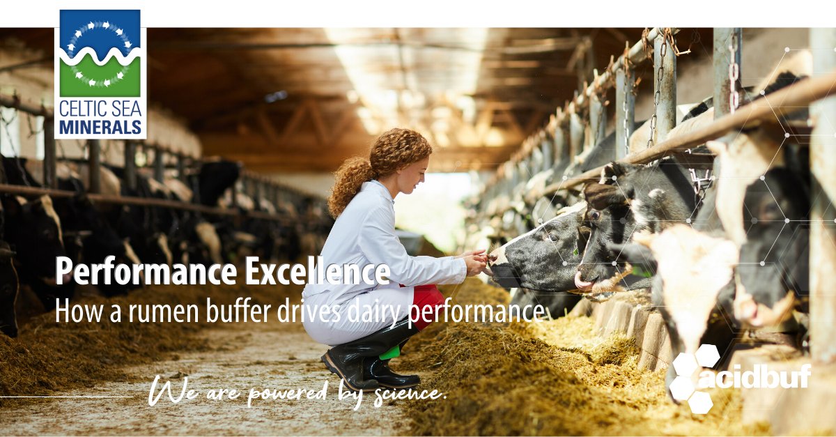 💡 #WednesdayWisdom 
🐄 How do you compare the efficacy of #rumenbuffers?
👨🏼‍🏫 A #rumenbuffer drives #dairy performance, such as #milk #butterfat.

Get powered by our #science and read blog #6 ow.ly/toaS50zWm0N

#acidbuf #dairyfarming #dairy #dairyindustry #teamdairy