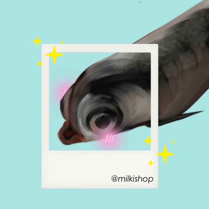 milkishop's tweet photo. ˜”*°•.˜”*°• hello!!  •°*”˜.•°*”˜

🌊Welcome to Milkish Shop🌊

#milkishop
#milkishproject
#milkishfeedback https://t.co/7w8McxDL9l