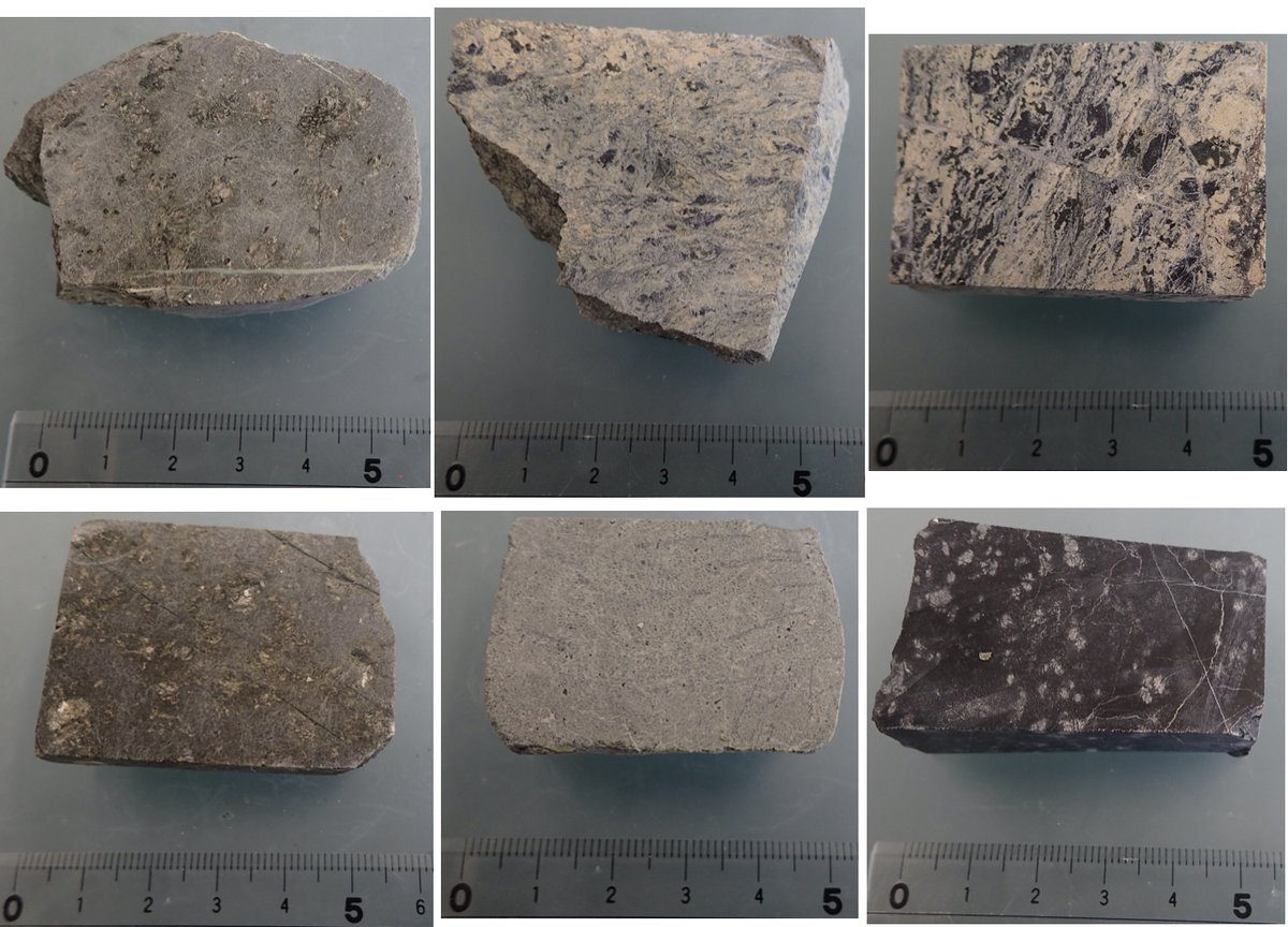 deep_sample's tweet photo. Ultramafic rocks + water ± weathering ± deformation: Diversity of altered ultramafic rocks from one area
カンラン岩の変質物(蛇紋岩化±風化±変形)は同じ場所でも、見かけがこれだけ多様性を持つのが、蛇紋岩研究の難しさであり、面白さ
#フィールドに行くまでの妄想
#randomfieldworkphoto https://t.co/59JZUT7Jnq