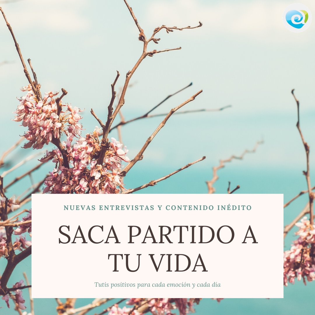 PsicoAlavaReyes's tweet photo. Recordad que, en nuestra página web, podéis encontrar toda la información (entrevistas, enlaces, vídeos) sobre el nuevo y esperado libro de @mjalavareyes "Saca Partido a tu Vida". Y no os perdáis a María Jesús Álava, hoy, a partir de las 19hrs en @rtvcyl 👉https://t.co/TfHW14A7Tk https://t.co/fdpEqGR511