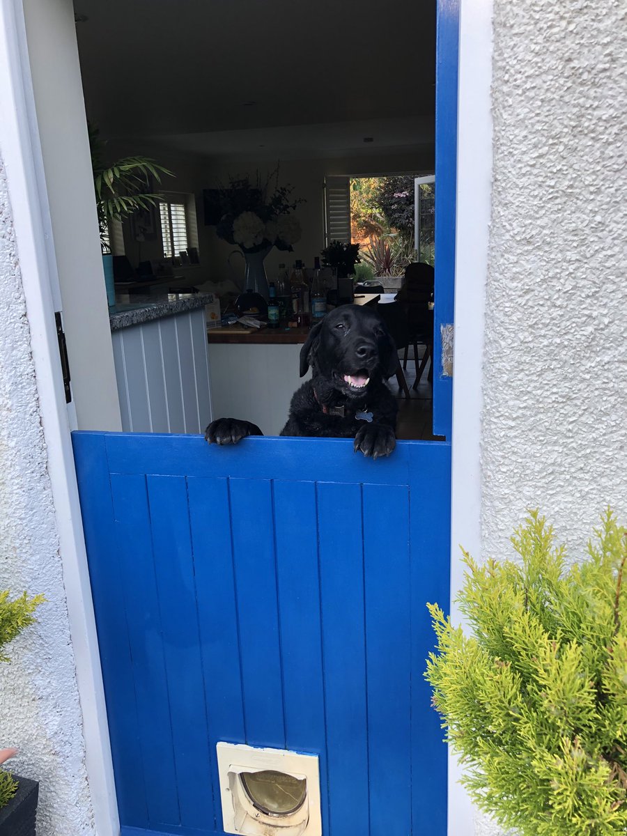 Mable and Dylan - they have a view! We’re here to cheer you up and give you unconditional love! Happy days! Take care out there and embrace everything life has to offer! #MakeitYours!