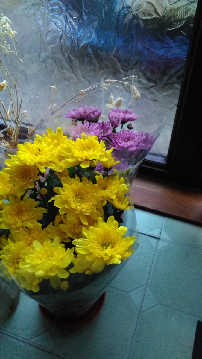 tick7's tweet image. Remembering my wonderful mam ,6months gone ,these beautiful plants for my mams grave ,visiting later,we saw many musicals..xxxx