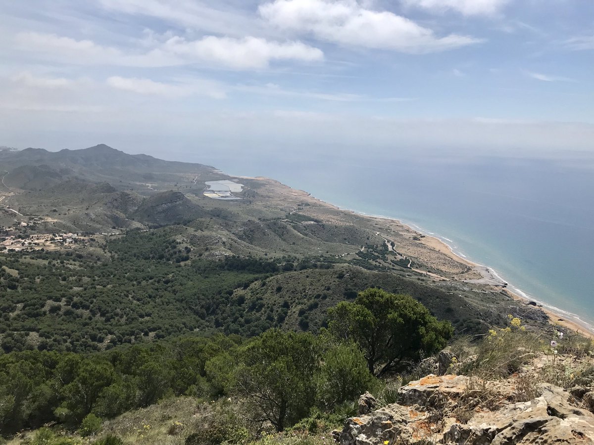 Titoanselm's tweet photo. #callblanque #calalarga #cobaticas #salinasdecallblanque #Cartagena #cabezodelafuente https://t.co/JrWtsptR4D