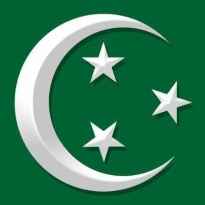 Флаг с пальмой. Сауд аравия флаг и герб. Сауд аравия флаг. Саудовская аравия флаг и герб. Зеленый флаг с иероглифами.