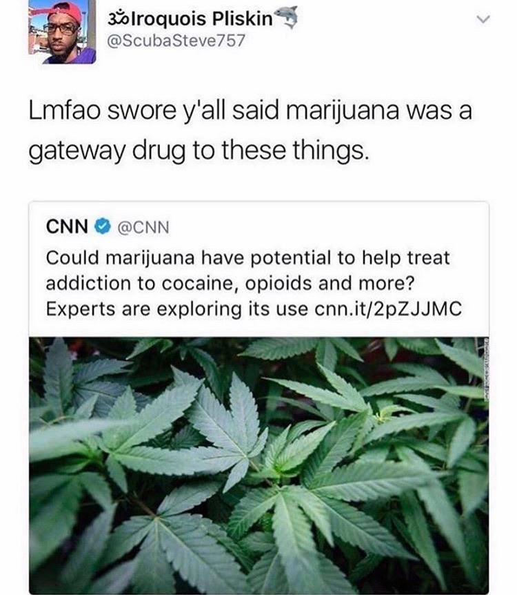 PoliticallyCoNZ's tweet image. Hmmm