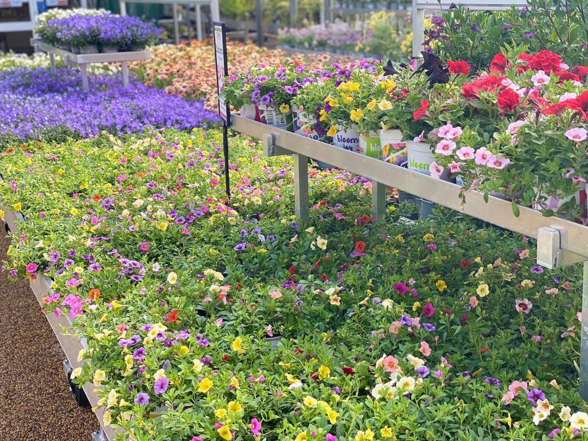 PolhillGardenCentre tweet media