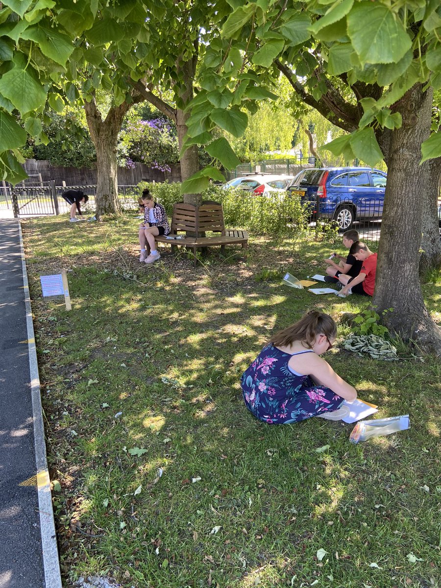 eagley5d's tweet photo. The legends have taken to the trees to create their own leafy legends - the people we have been missing! I can’t wait to take some photos of their creations at lunch time #keepingapart #stillinourheart https://t.co/Iyl0JO0fiB
