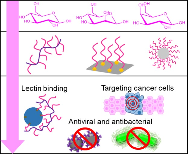 Polymers_MDPI's tweet image. #polymers 
&quot;#Glycopolymer Brushes by Reversible Deactivation Radical #Polymerization: Preparation, Applications, and Future Challenges&quot;
mdpi.com/2073-4360/12/6…