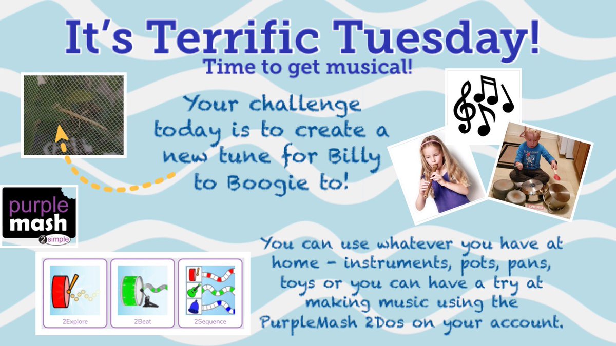 MrsMfromSJB's tweet photo. Good morning #SJBReception, today we’re trying something completely new! Who saw Billy the stick insect boogying to Trolls over the holidays? Well he’s ready to move to a new beat- your beat! I can’t wait to hear what you can do! Please share with us at @SJBSunderland, big hugs x https://t.co/fsdLo1SY7Q