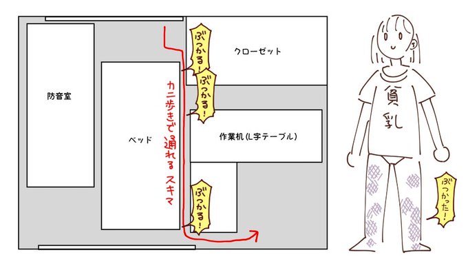 今部屋の間取りがこんなんなってるので角にぶつかりまくって足が痣だらけになってるあらと安里。 