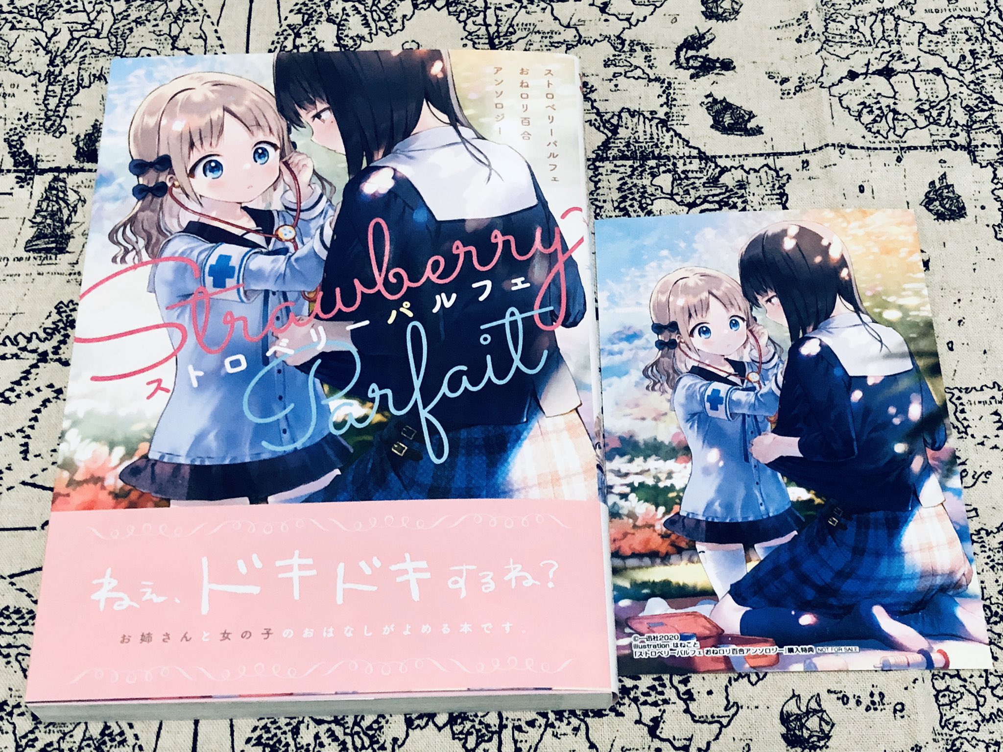 為三 ストロベリーパルフェ おねロリ百合アンソロジー どうも自分は 少女が大人になったらどうする までを描いてるおねロリが好きなよう ヒューイットが両想いになった幼女から 大人になっても好きでいてくれる と問われて頭抱えたみたいに