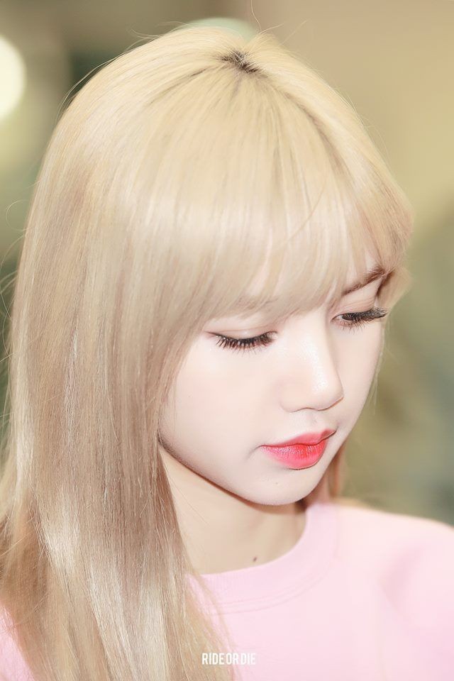 LALISA👑❤️ tweet media