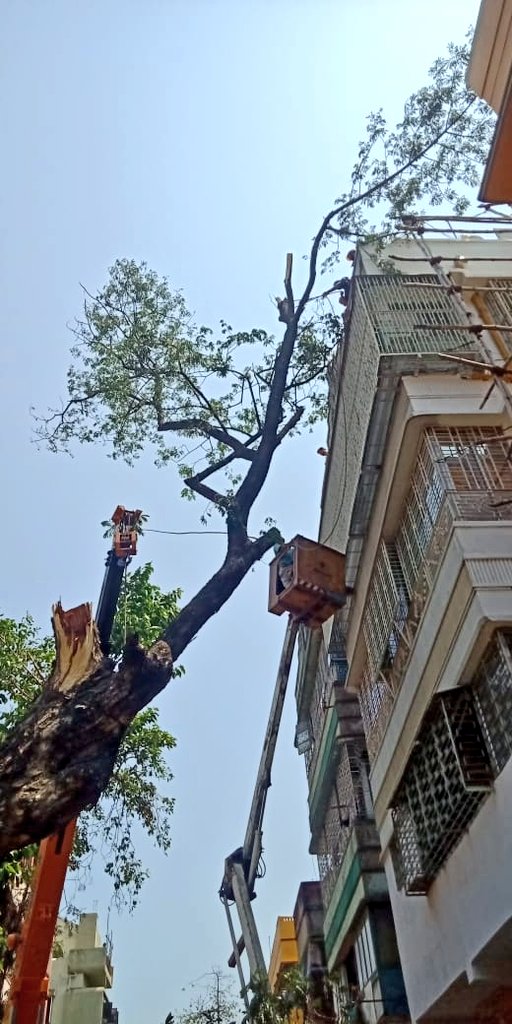 #CycloneAmphan Updates 02/6/20-

𝐃𝐀𝐘13-#PostAmphanRestoration

NDRF @ Restoration Work at Hazra Road, KMC Kolkata, West Bengal

#NDRF4U
#Committed2Serve 
@satyaprad1 @ndmaindia @PMOIndia @HMOIndia @PIBHomeAffairs @BhallaAjay26 @DDNewslive @ANI @airnewsalerts @PTI_News