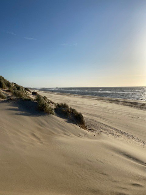 EMODnet's tweet image. Every day is #Ocean day for the #EMOD-network ! And this week, building up to #WorldOceansDay, we will join #international #experts for the Virtual Ocean Dialogues: discussing #ocean #data and #marine #knowledge for #society #SDG14 weforum.org/events/virtual… via @wef. @EU_MARE