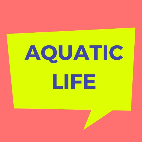hls_art's tweet photo. This theme definitely stumped out year 11 photographers initially-but when you think about it and break it down to water... there are lots of ideas 💡 #hlsart #hlsstayathome #hlsartdailychallenge https://t.co/ZcENjVSujt