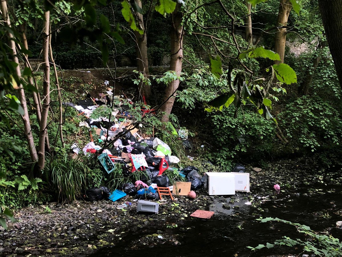 Caroline Briggs tweet media