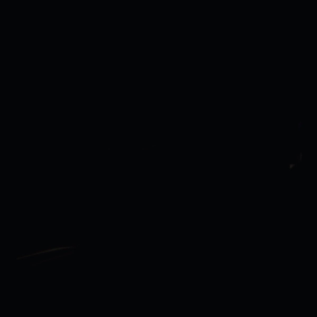 BLACK LIVES MATTER ❤️ #BlackLivesMatter #TheShowMustBePaused