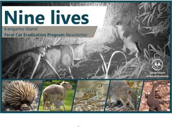 Our new newsletter keeping people updated on the #KIFeralCatEradicationProgram, #NineLives, is out now. Check out this issue to learn about the eradication work underway on the #DudleyPeninsula and more... You can view the newsletter here: tinyurl.com/y9kjcyob