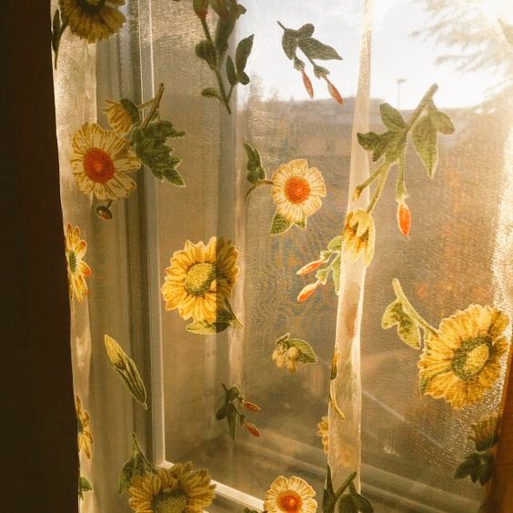 akn (@mem___et) on Twitter photo 