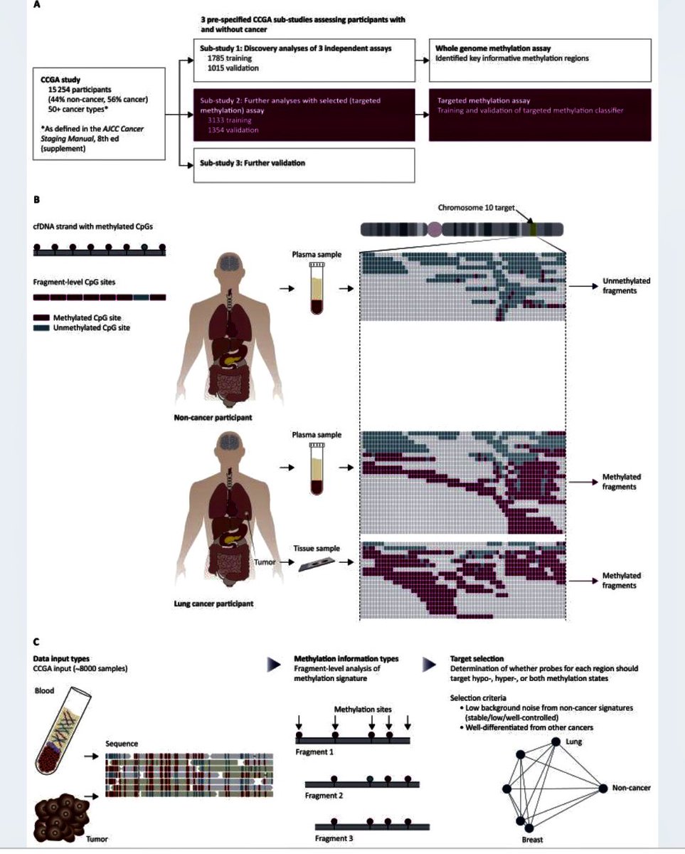 SubodhUrology's tweet photo. >50 #cancertypes, including #highmortality cancers can be detected & localized in new #bloodtest. Annals of #Oncology showed Cancers detected across all stages at specificity of >99% & one false positive rate of <1%, & localized tissue of origin with >90% accuracy. https://t.co/Q4EQUSzsP8