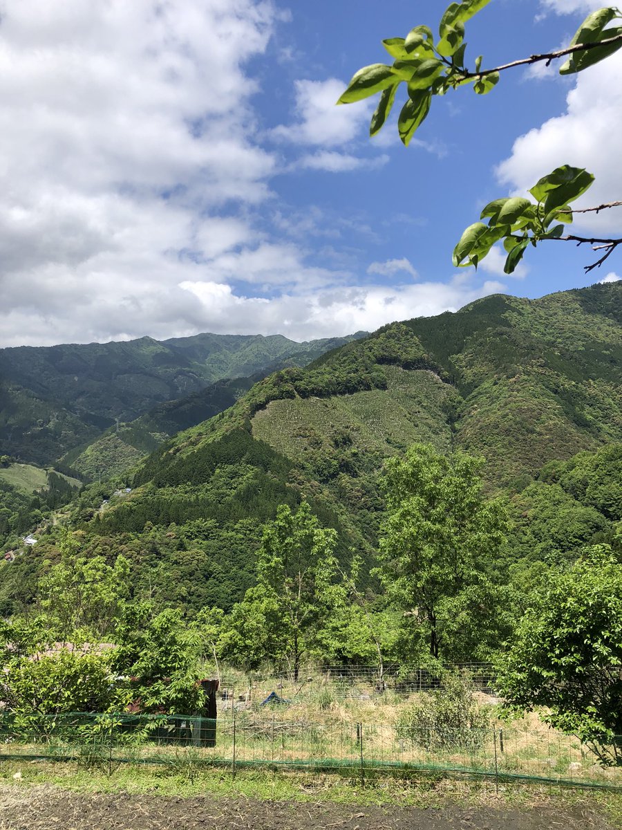 さとやまのこ 山奥で自給自足生活 Auf Twitter 自給自足がしたくて 山に暮らすのです ど素人が飛び込みで始めるので 全てが試行錯誤なのです 今は無収入ですが いずれ山の価値をお金に変えていきたいのです 田舎好きと繋がりたい 山好きと繋がりたい 自給