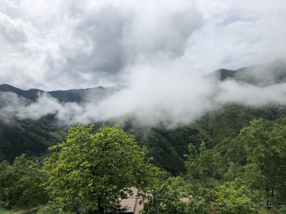 さとやまのこ 山奥で自給自足生活 Auf Twitter 自給自足がしたくて 山に暮らすのです ど素人が飛び込みで始めるので 全てが試行錯誤なのです 今は無収入ですが いずれ山の価値をお金に変えていきたいのです 田舎好きと繋がりたい 山好きと繋がりたい 自給