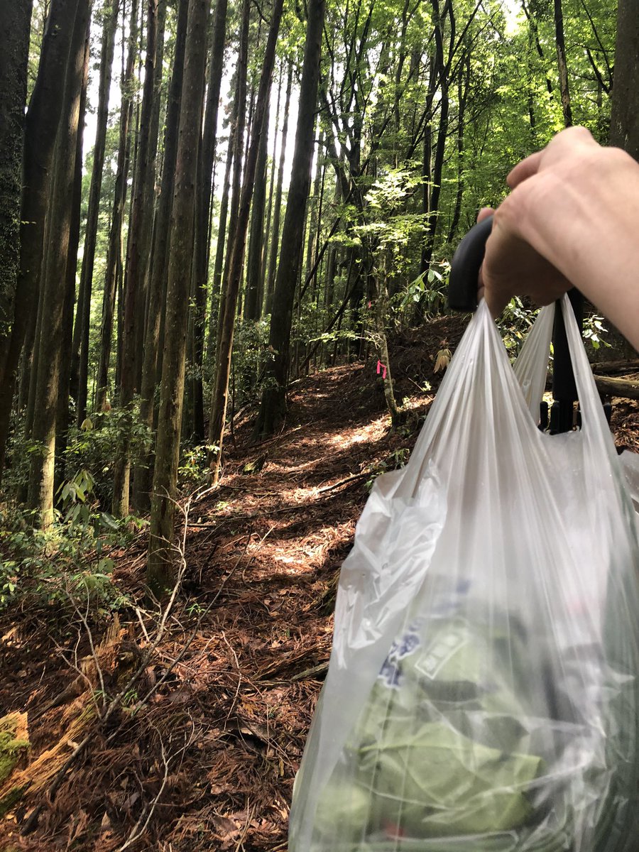 さとやまのこ 山奥で自給自足生活 Auf Twitter 自給自足がしたくて 山に暮らすのです ど素人が飛び込みで始めるので 全てが試行錯誤なのです 今は無収入ですが いずれ山の価値をお金に変えていきたいのです 田舎好きと繋がりたい 山好きと繋がりたい 自給