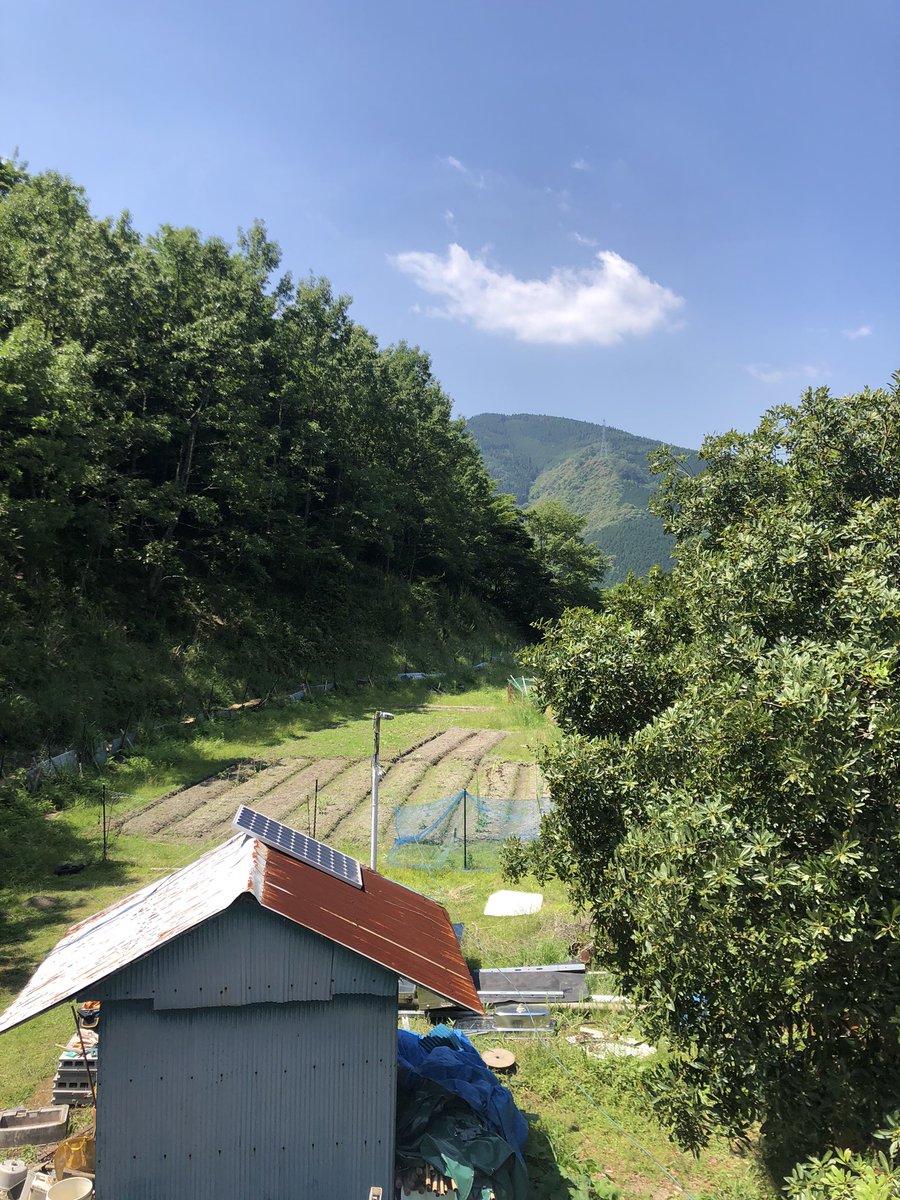 さとやまのこ 山奥で自給自足生活 Auf Twitter 自給自足がしたくて 山に暮らすのです ど素人が飛び込みで始めるので 全てが試行錯誤なのです 今は無収入ですが いずれ山の価値をお金に変えていきたいのです 田舎好きと繋がりたい 山好きと繋がりたい 自給