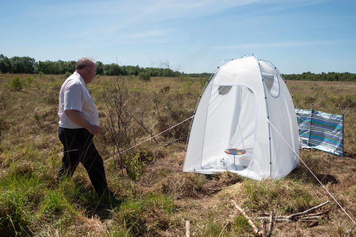 LukeBlazejewski's tweet photo. Manchester's extinct butterfly is back! Last week I took the first photos of the Large heath butterfly (or "Manchester argus"), reintroduced to the Greater Manchester Peatlands after 150 years by @Lancswildlife and @chesterzoo. Welcome home 😊 https://t.co/KkL6ALEgwa