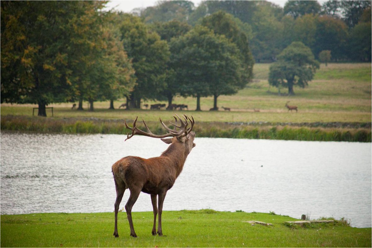 Tatton Park is to reopen its parkland to the public on Wednesday 3 June. The decision is part of a phased response to the latest government guidance and advice from Public Health England.

Read more here: bit.ly/2ZVDSgZ