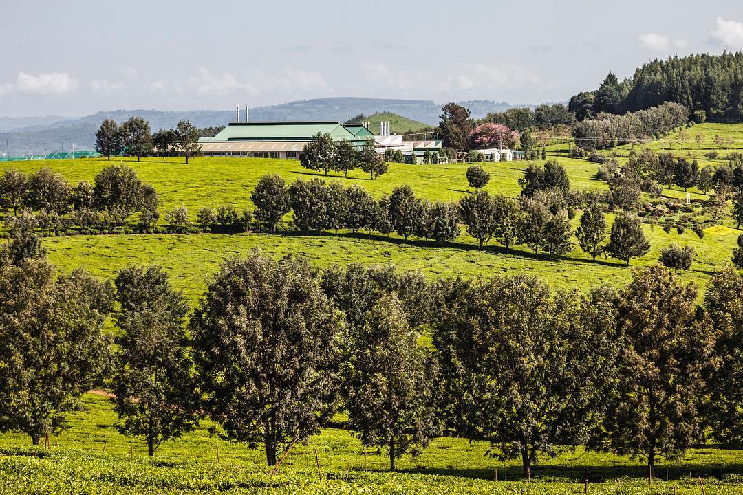 kenyapics's tweet photo. Tinderet https://t.co/309bC2iUTw