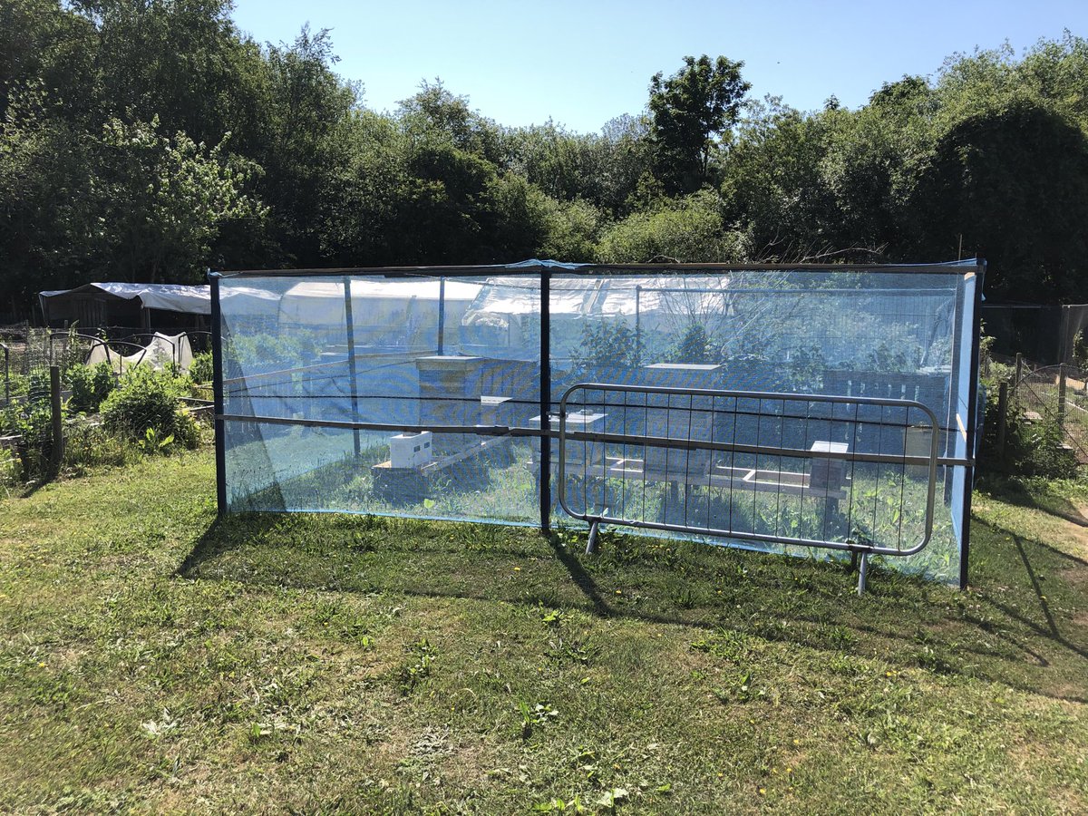 Beekeepeter's tweet image. My new (furlough ) apiary. Already full