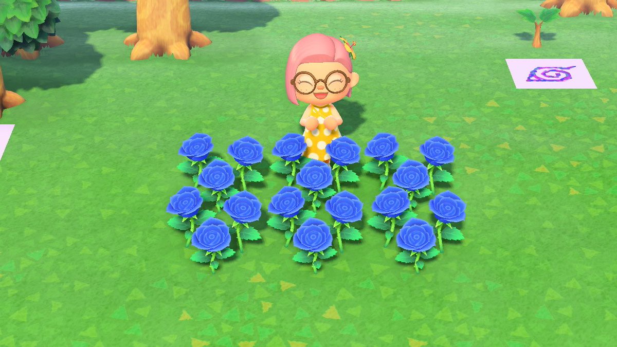 winreichan's tweet photo. SORTEO de SEIS ROSAS AZULES. Para participar solo tenéis que: 

-Seguirme
-RT y FAV
-Comentar cuál es vuestra flor favorita del juego

El sorteo cierra el viernes 05 de junio. 

¡Mucha suerte! 

#ACNH #AnimalCrossingNewHorizons https://t.co/QIbIGJi86v