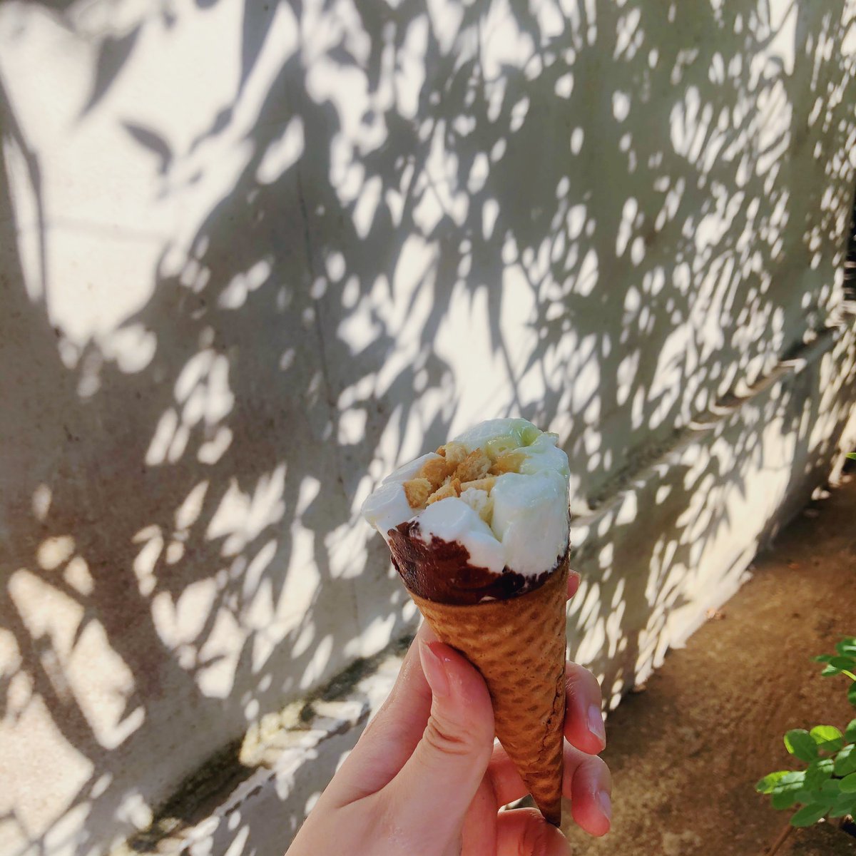 thisismdvv's tweet photo. #ไอติมครีโม  รสปังสังขยานมสด แปลกมาก แต่ก็อร่อยนะ หอมสังขยามีขนมปังแบบ crumble ท๊อบอยู่ข้างบน แปลกดี ร้อนๆอยู่บ้านเครียดๆก็กิน 😂 #อร่อยทุกรสฉีกกฎทุกคำ #เพราะเธอไม่เหมือนใคร https://t.co/ZvG1BU84d3