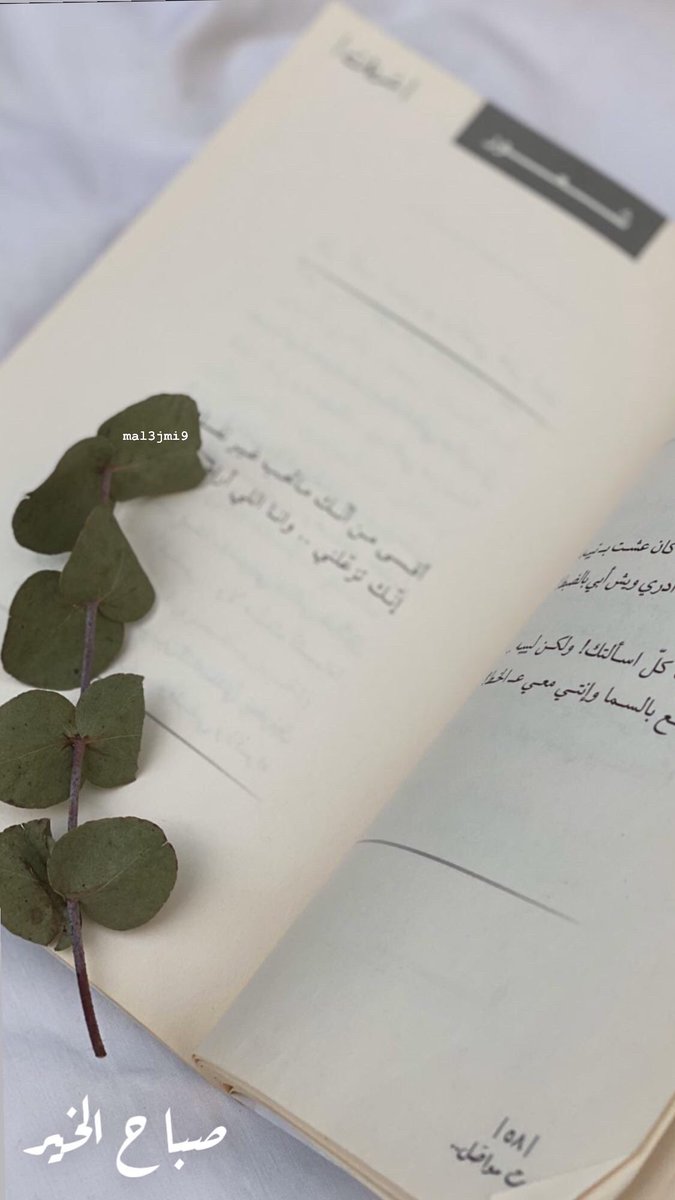lo73ra tweet picture