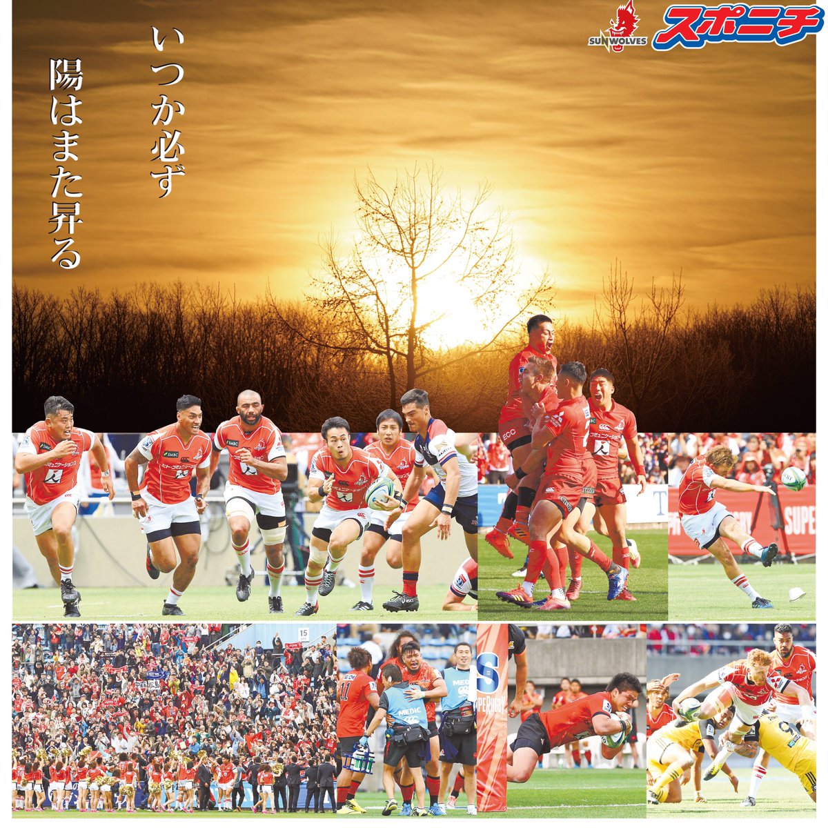 sponichi_r's tweet photo. いつかまた、スタンドから #Aoooo  と叫べる日が来て欲しいですね。
#sunwolves 
#flyagain 

https://t.co/zRacyVT76h https://t.co/8DBquB0PiE