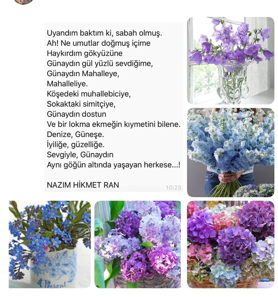 TC_Ay_Sun's tweet photo. Günaydın 😊☀️🌻 https://t.co/YBx0gnK86U