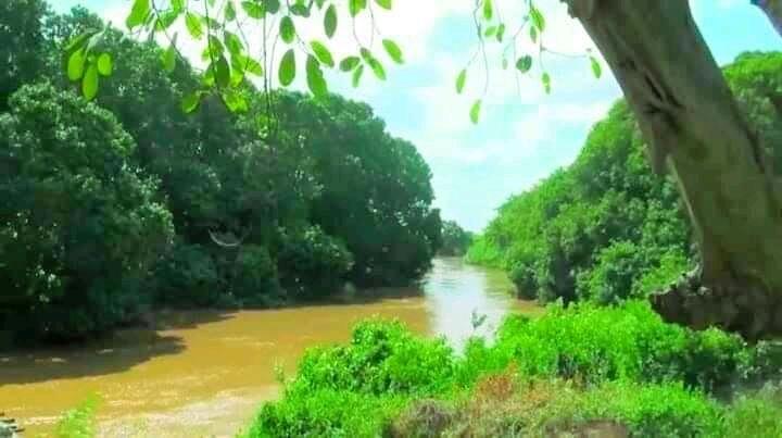 AhmedAbdullahi_'s tweet photo. The iconic beauty of #Somalia; great tourism attractions, beautiful beaches, meadows, rivers, wildlife, agriculture.....

Rome wasn't built in a day, but if we work together for peace, stability and good leadership Insha Allah we shall soon emerge as the pearl of #Africa https://t.co/3bNgL0NugH