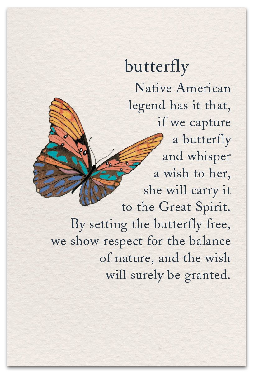 ✨🦋 Did you know that this week marks #butterflyeducationandawarenessday? Why not head outdoors to see how many butterflies you can spot? Could your little ones have a go at drawing or crafting one of their very own this week? 🦋✨