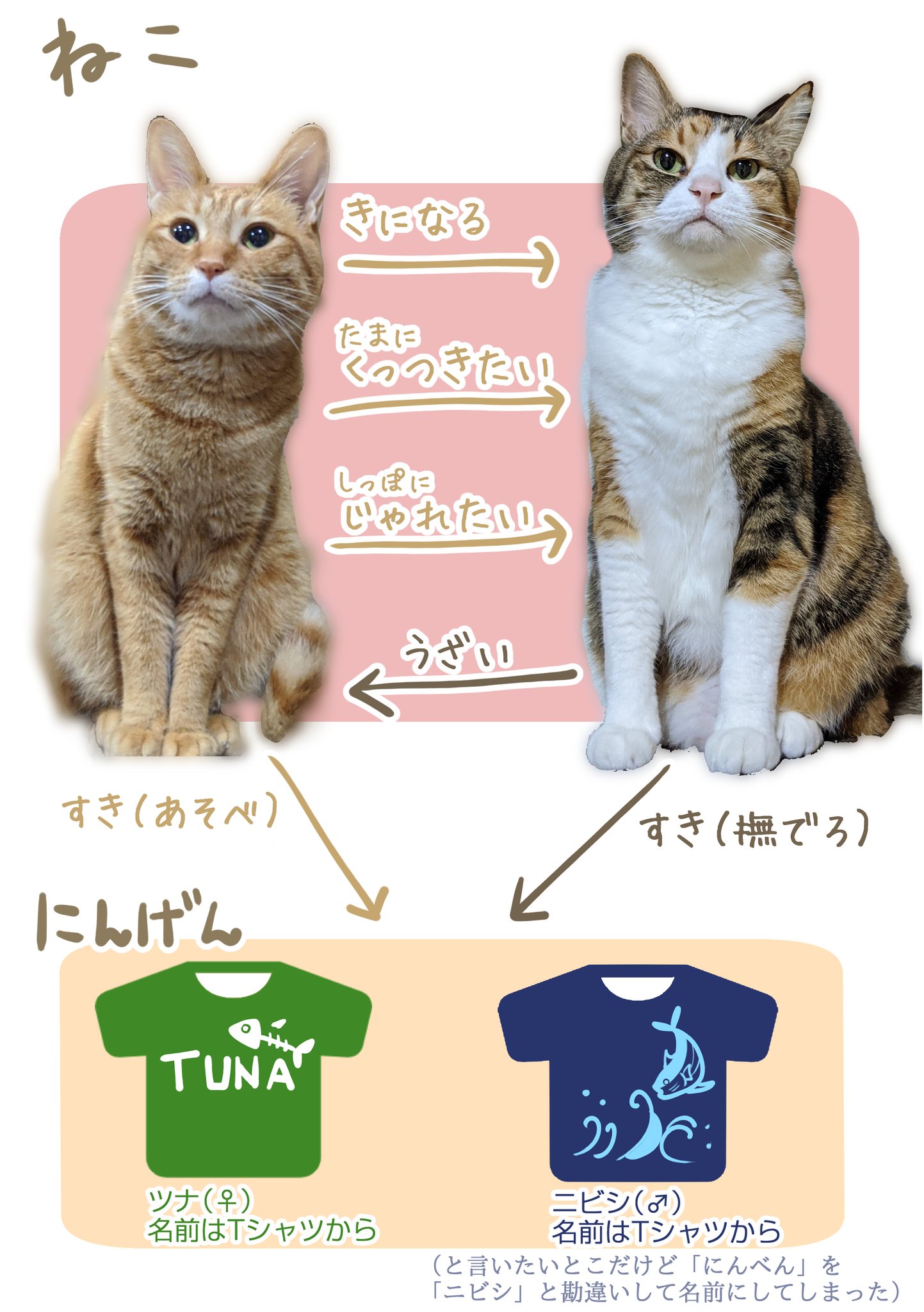 ツナ Sur Twitter ちまき どんくさ 人間の紹介用固定ツイート おたくまさんとねとらぼさんが書いてくれた紹介記事が素敵だったのでリンクも貼っとく T Co Ruk8bveb92 T Co N7wknboa17 ツナ Sur Twitter ちまき どんくさ 人間の紹介用固定ツイート おたくまさんとねとらぼさんが書いてくれた紹介記事が素敵だったのでリンクも貼っとく T Co Ruk8bveb92 T Co N7wknboa17